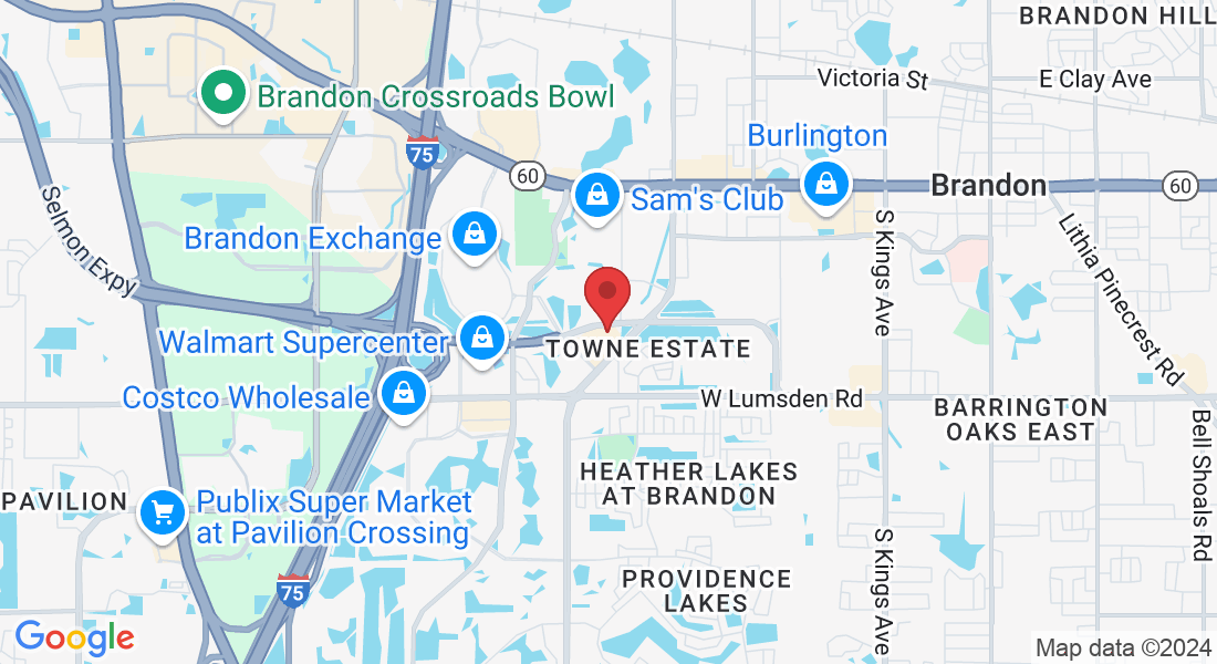 2082 Badlands Dr, Brandon, FL 33511, USA