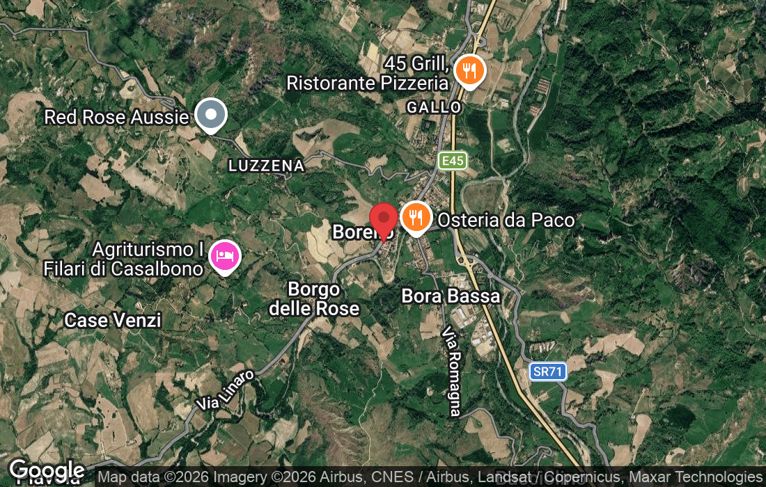 Via Ezio Tarantelli, 43, 47522 Borello FC, Italia