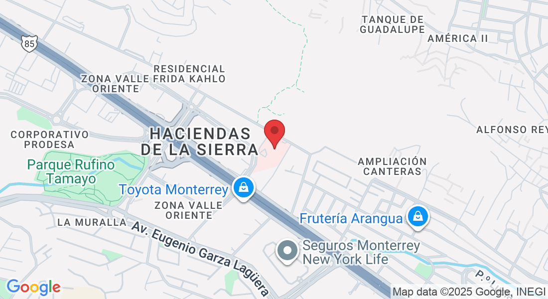 Av. Cto. Frida Kahlo 180, Valle Oriente, 66260 San Pedro Garza García, N.L., Mexico