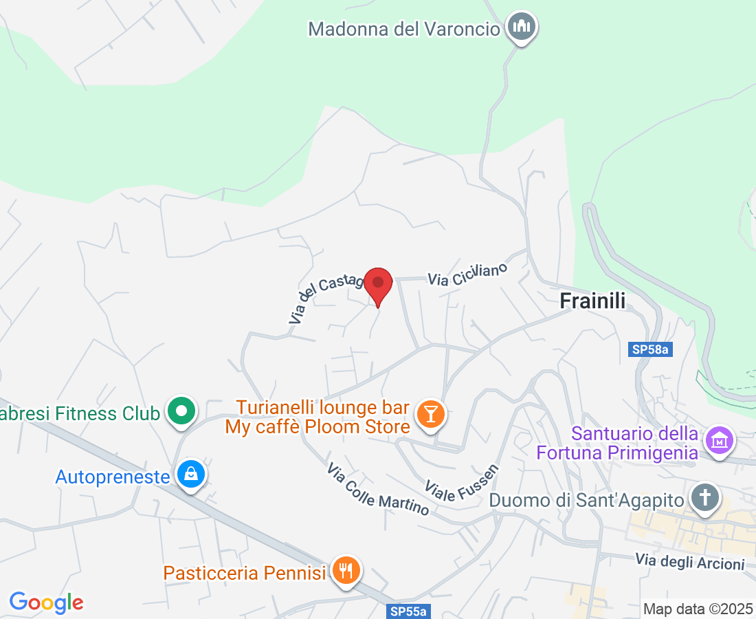 Via Ciciliano, 9, 00036 Palestrina RM, Italia