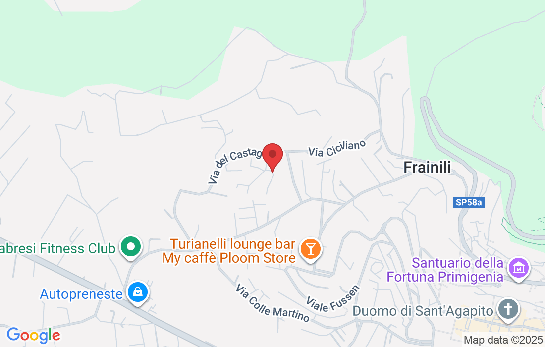 Via Ciciliano, 9, 00036 Palestrina RM, Italia