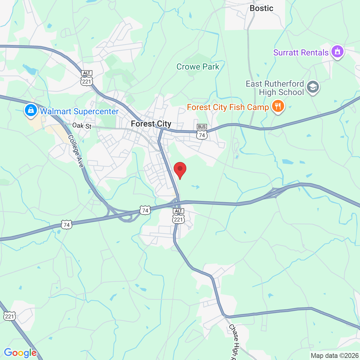 128 Matheny Farm Ln, Forest City, NC 28043, EE. UU.