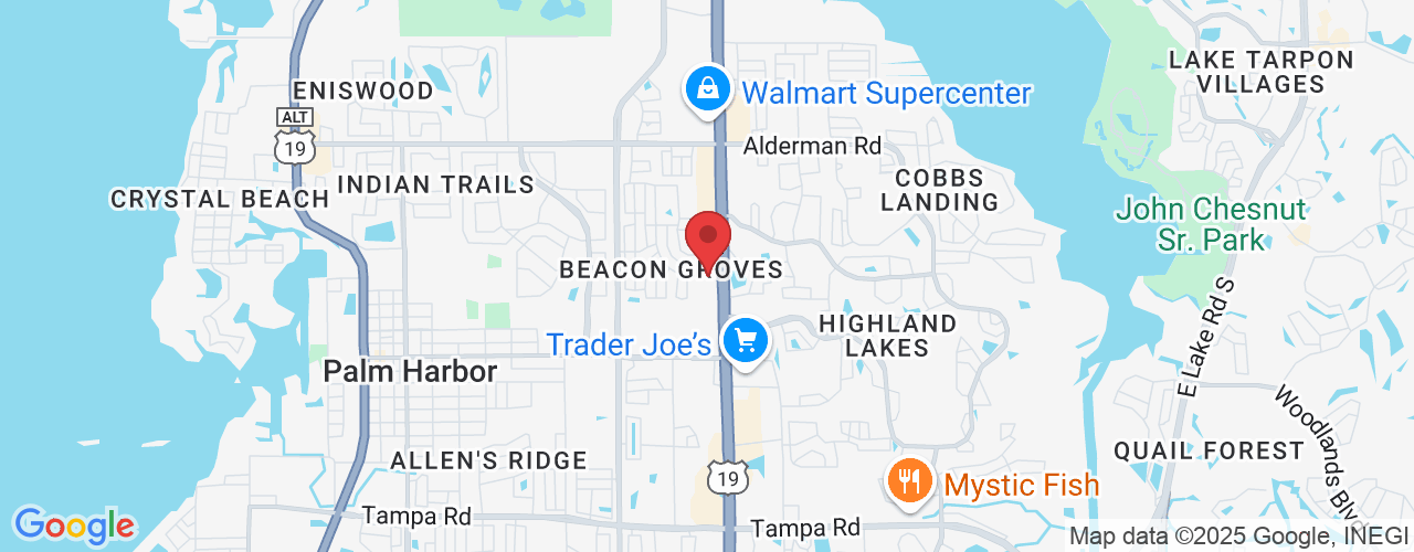 34282 US Hwy 19 N, Palm Harbor, FL 34684, USA