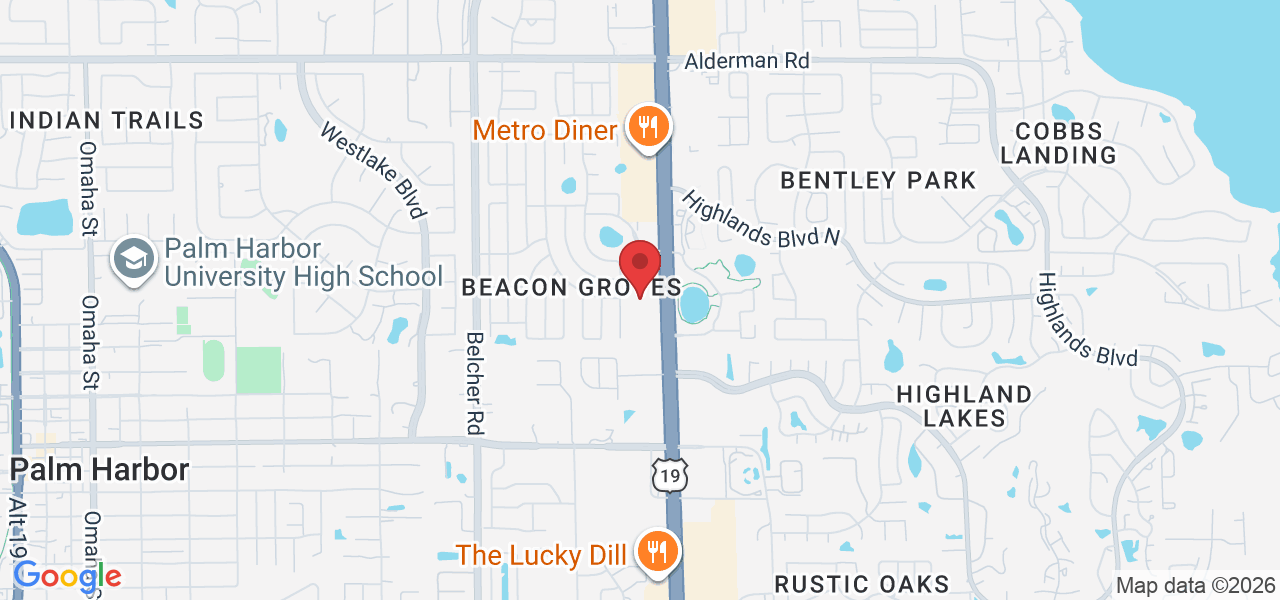 34282 US Hwy 19 N, Palm Harbor, FL 34684, USA