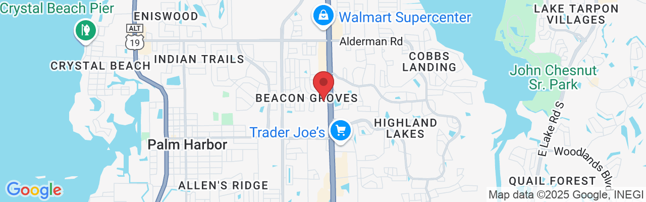 34282 US Hwy 19 N, Palm Harbor, FL 34684, USA