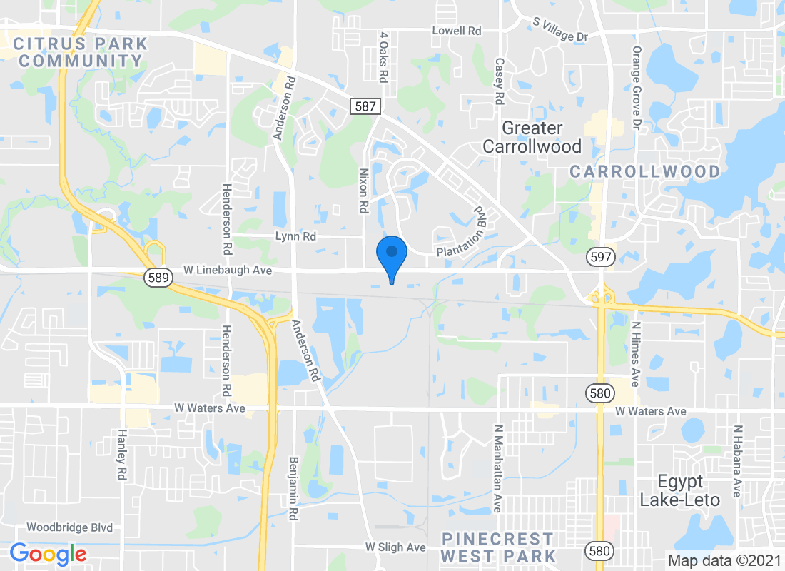 5040 W Linebaugh Ave, Tampa, FL 33624, USA