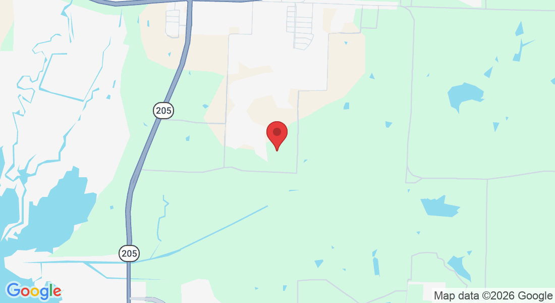 11308 Mason Dr, Lavon, TX 75166, USA