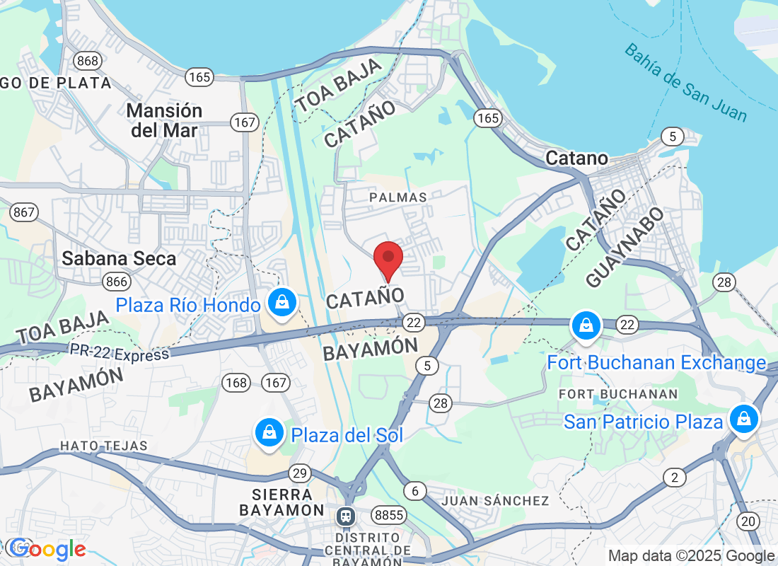 Palmas Industrial Park 313 Carr. 869, Suite 2, Cataño, 00962, Puerto Rico