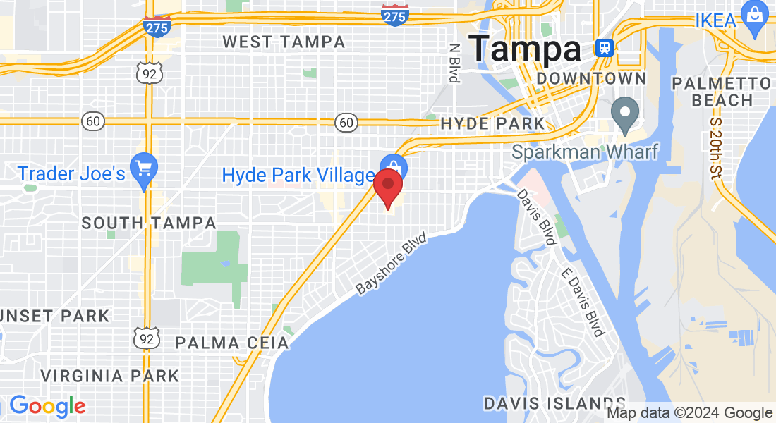 1646 W Snow Ave, Tampa, FL 33606, USA