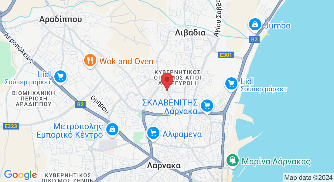 Παπανικολή 41, Λάρνακα 6052, Κύπρος