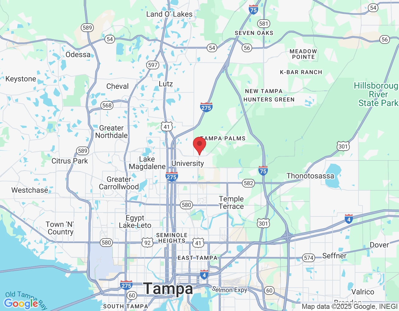 3206 Cove Bend Dr, Tampa, FL 33613, USA