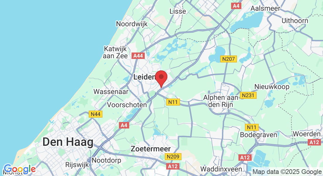 Hadrianusstraat, 2314 Leiden, Nederland