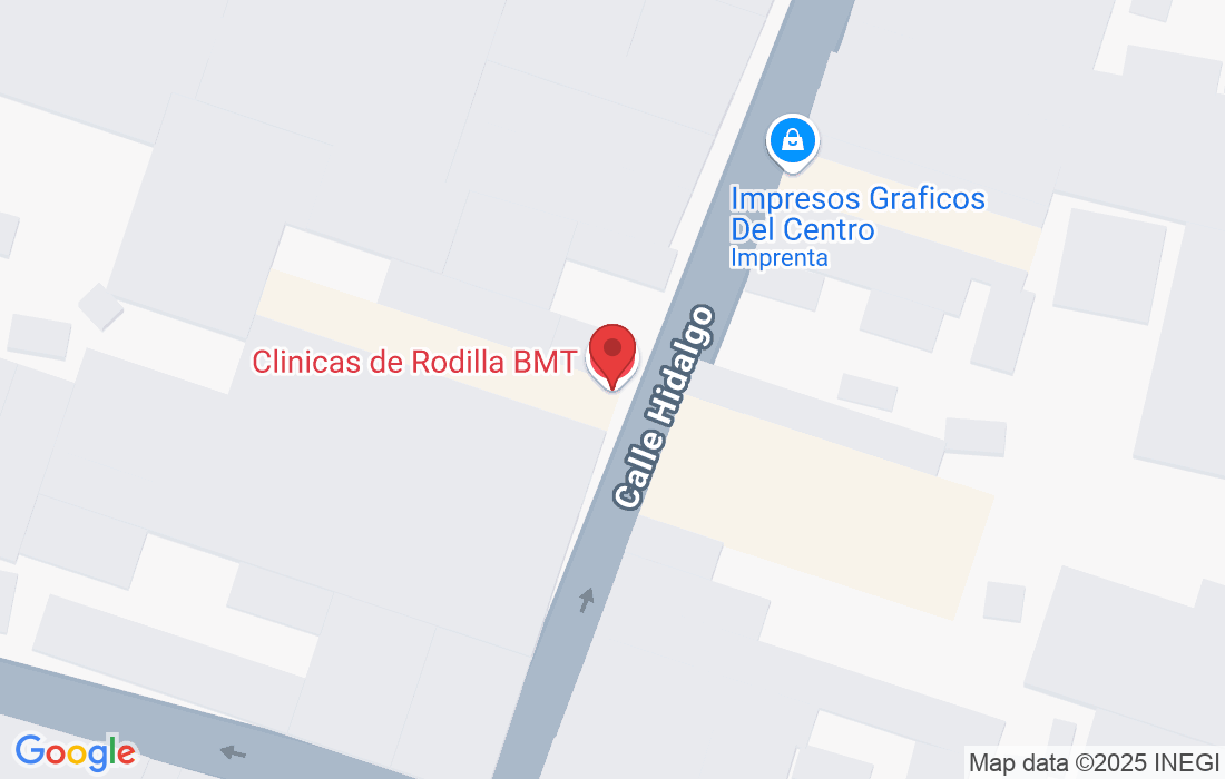 Calle Hidalgo 717, Obregon, 36320 León de los Aldama, Gto., México