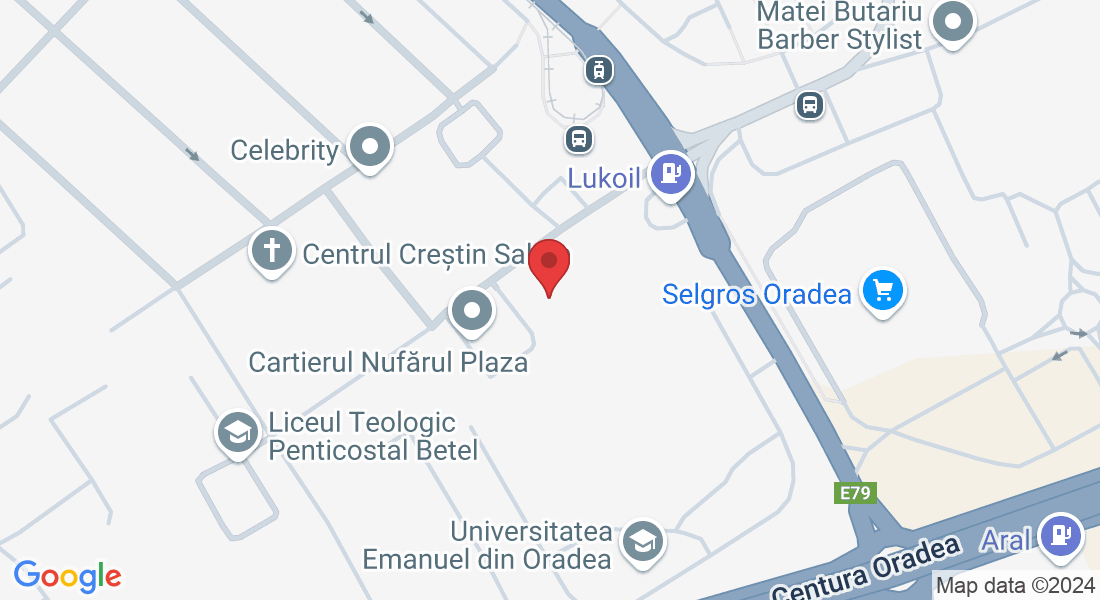 Strada Grigore Moisil 4, Oradea 410591, Romania
