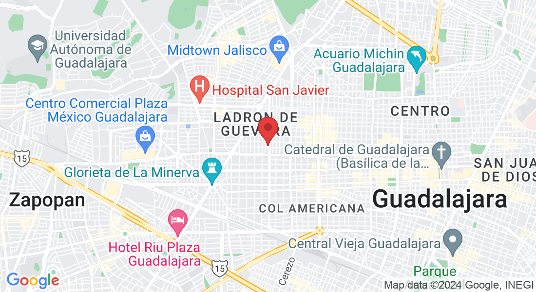 Calle Luis Pérez Verdía 209, Ladrón de Guevara, Ladron De Guevara, 44600 Guadalajara, Jal., México