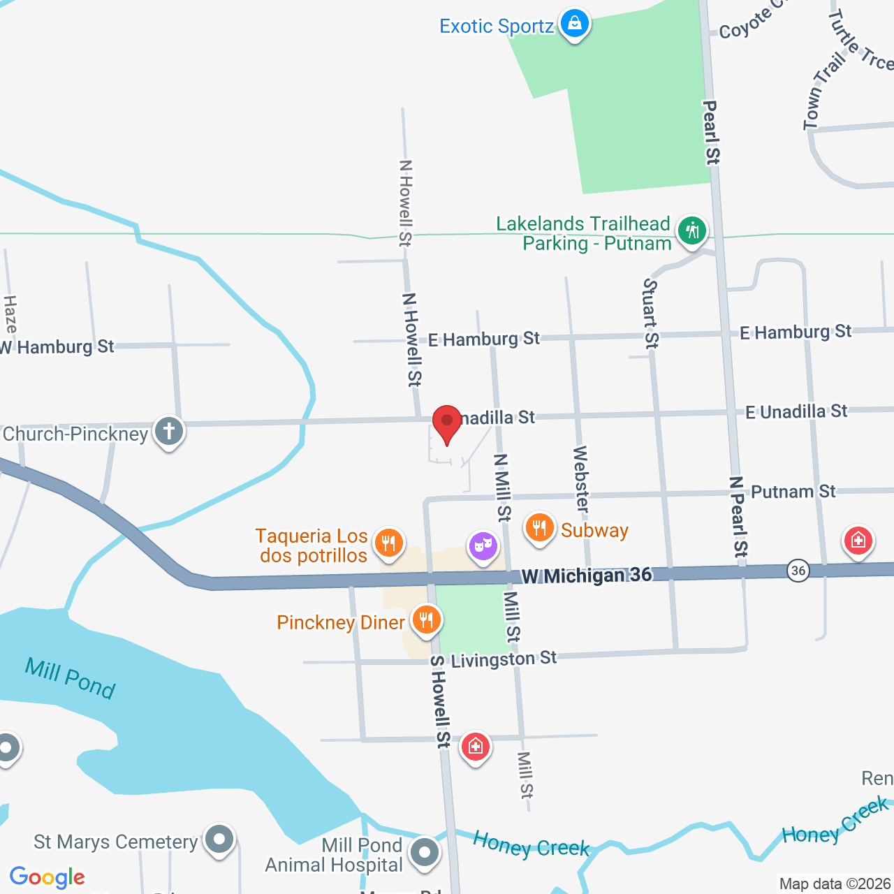 125 Putnam St, Pinckney, MI 48169, USA