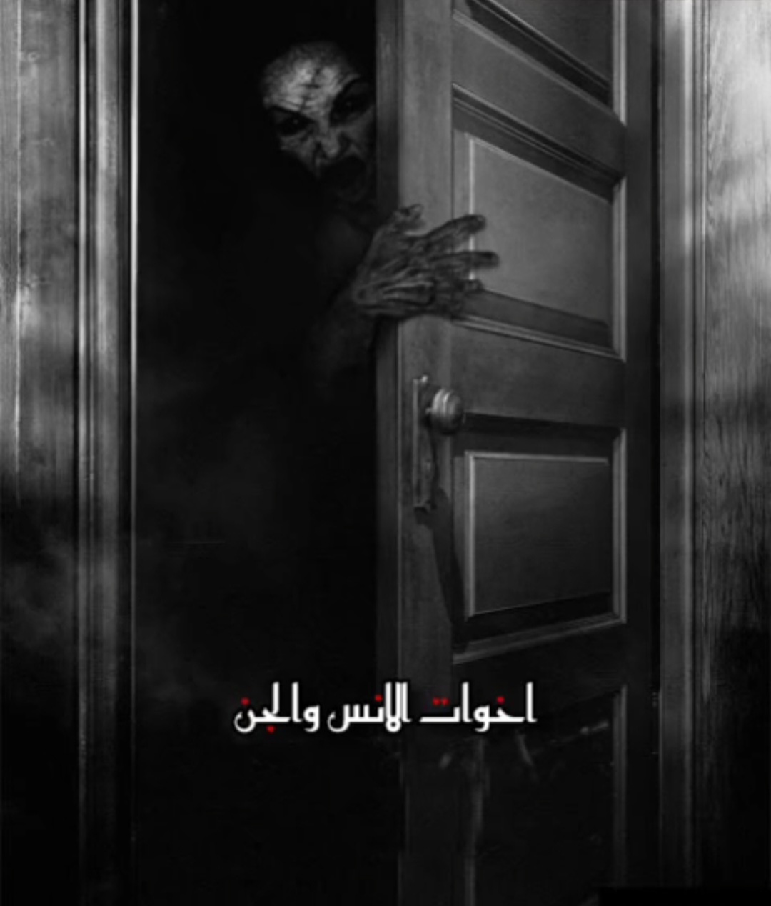 اخوات الانس والجن  غلاف