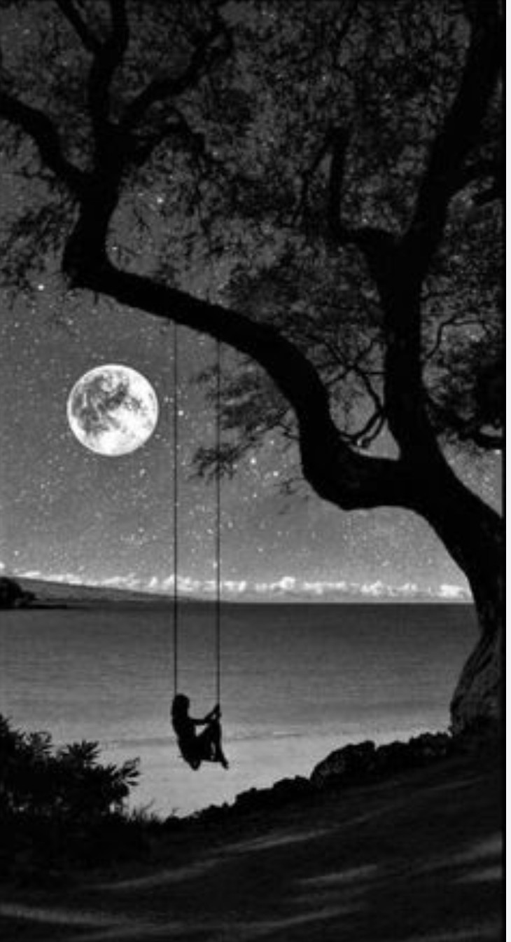 حبني وكرهته بسبب........غلاف