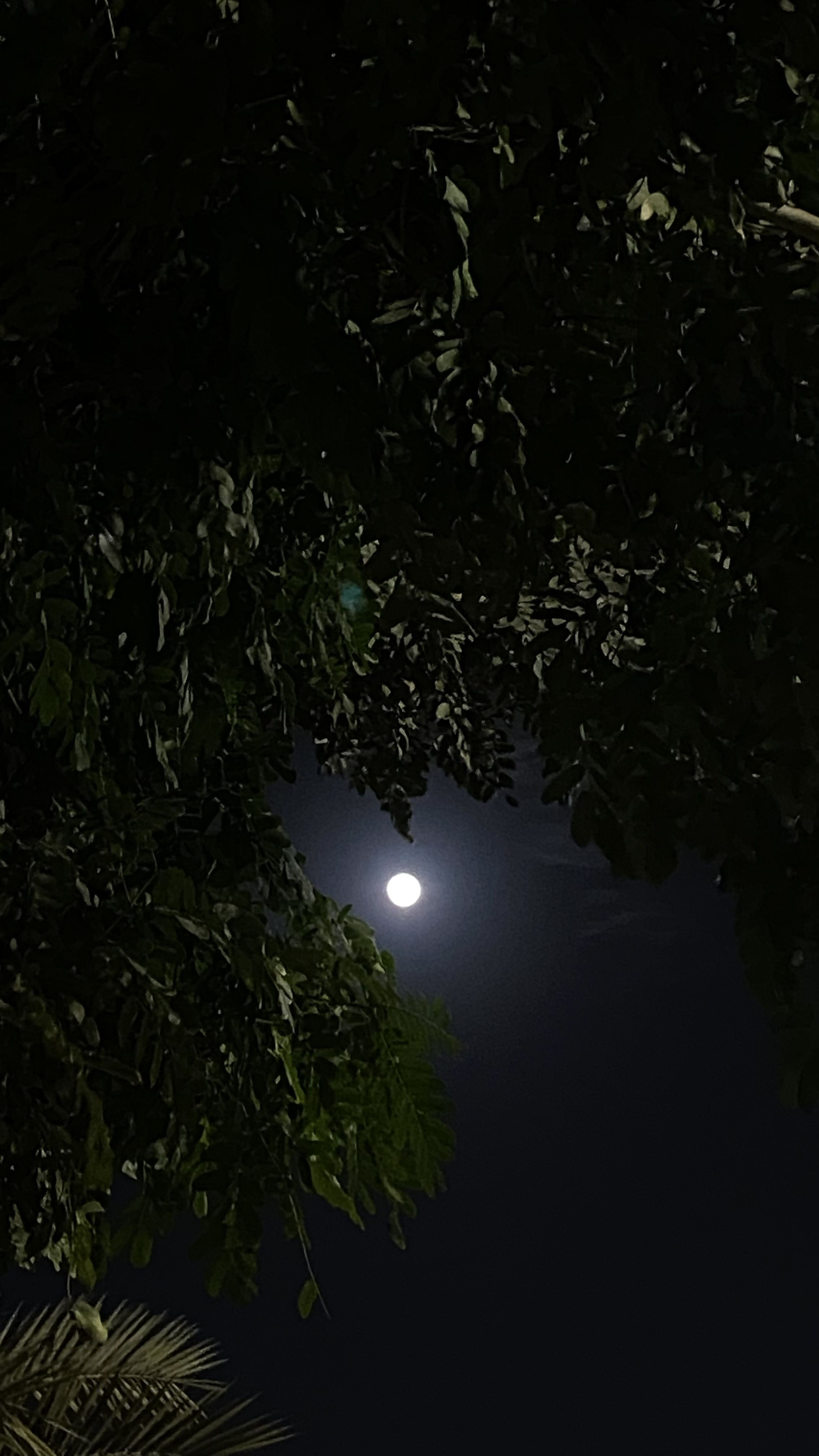 القوه والصبر 