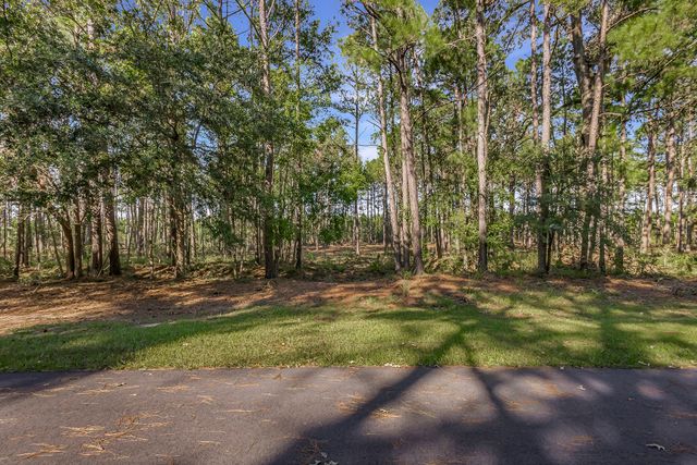 Telfair Plantation Dr - 002 Photos