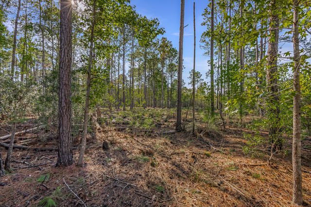 Telfair Plantation Dr - 004 Photos
