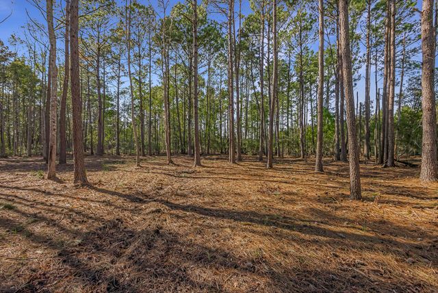 Telfair Plantation Dr - 005 Photos