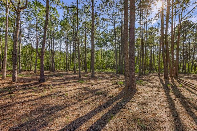 Telfair Plantation Dr - 006 Photos