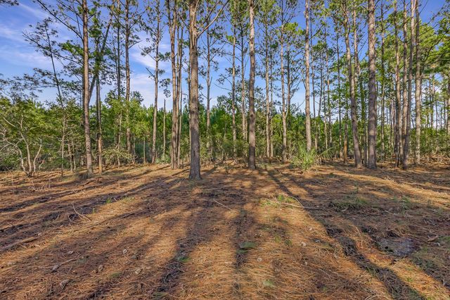 Telfair Plantation Dr - 007 Photos