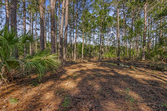 Telfair Plantation Dr - 008 Photos