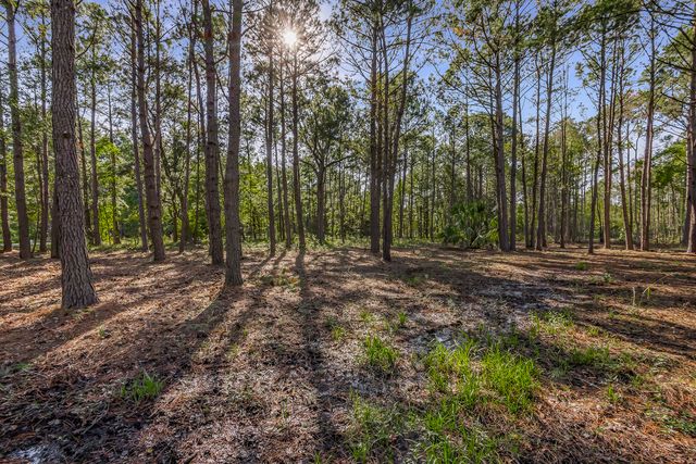 Telfair Plantation Dr - 009 Photos