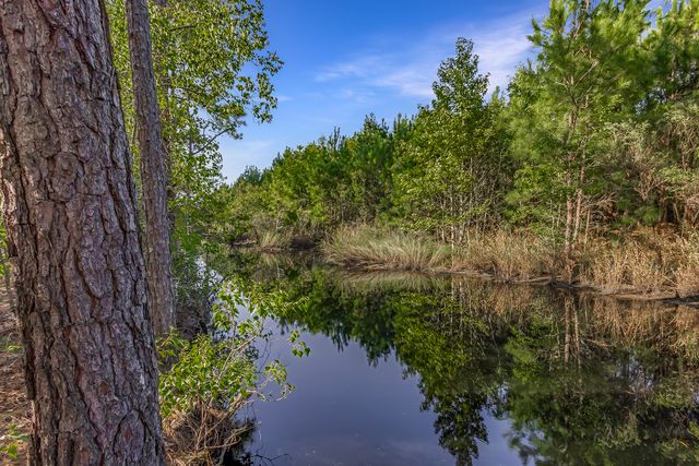 Telfair Plantation Dr - 010 Photos