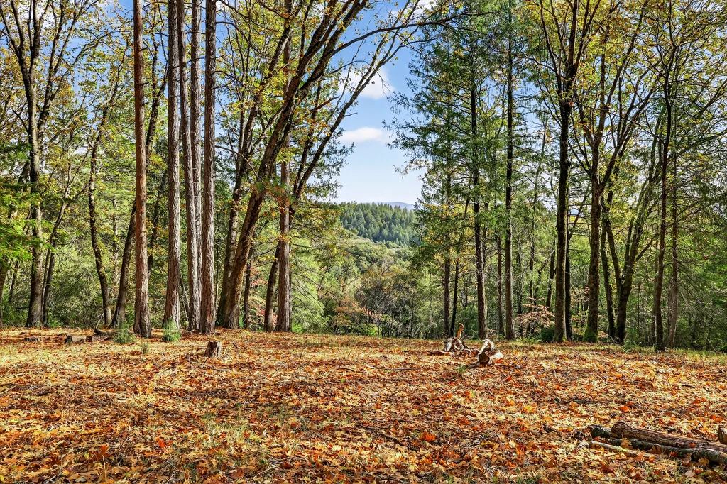 APN# 056-240-027-000 - 001 (Photos)