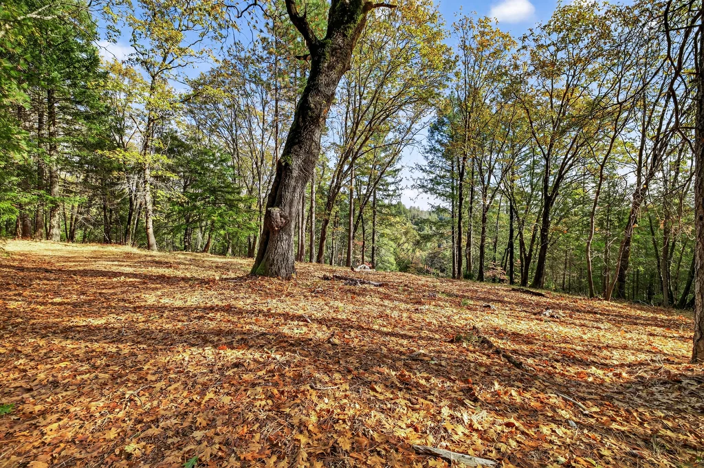 APN# 056-240-027-000 - 003 (Photos)