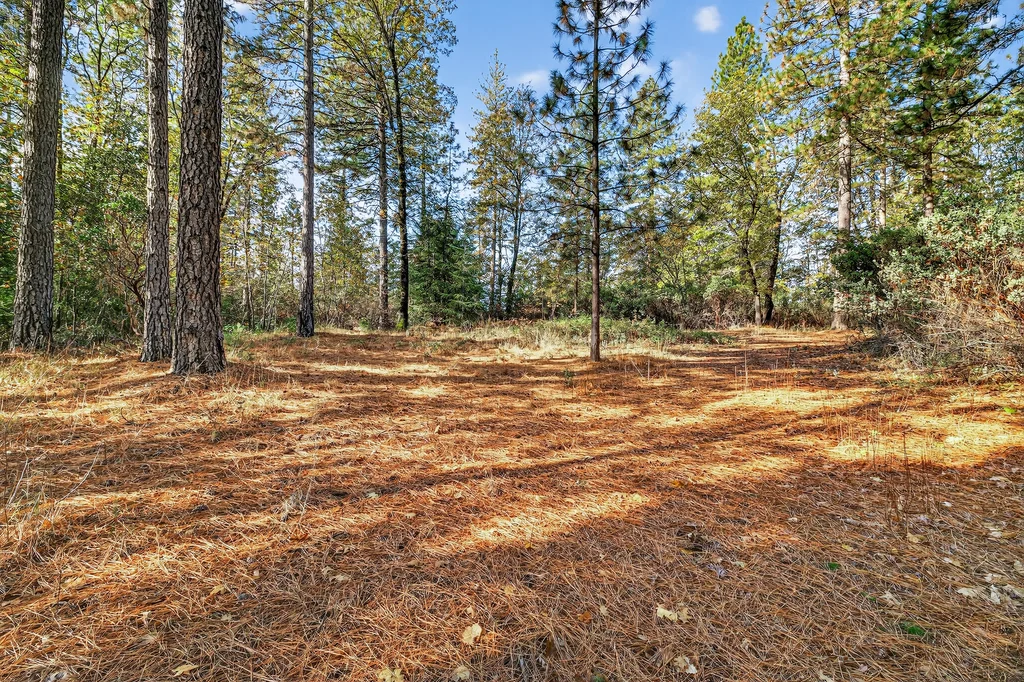 APN# 056-240-027-000 - 004 (Photos)