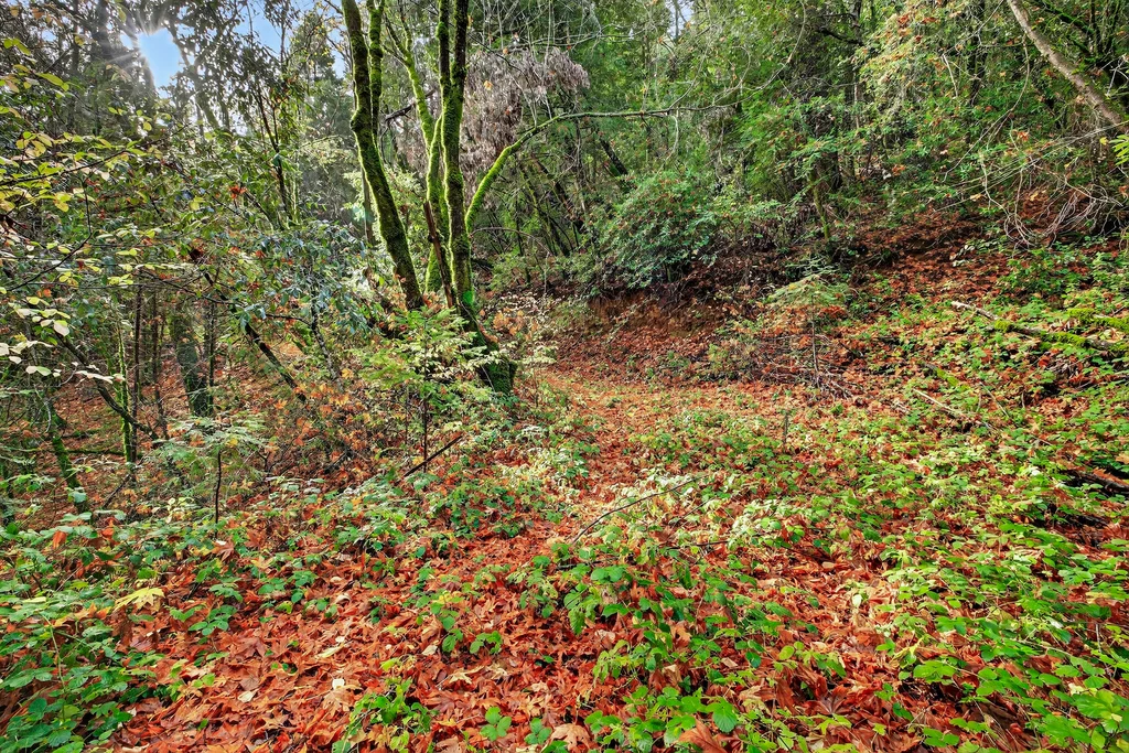 APN# 056-240-027-000 - 005 (Photos)