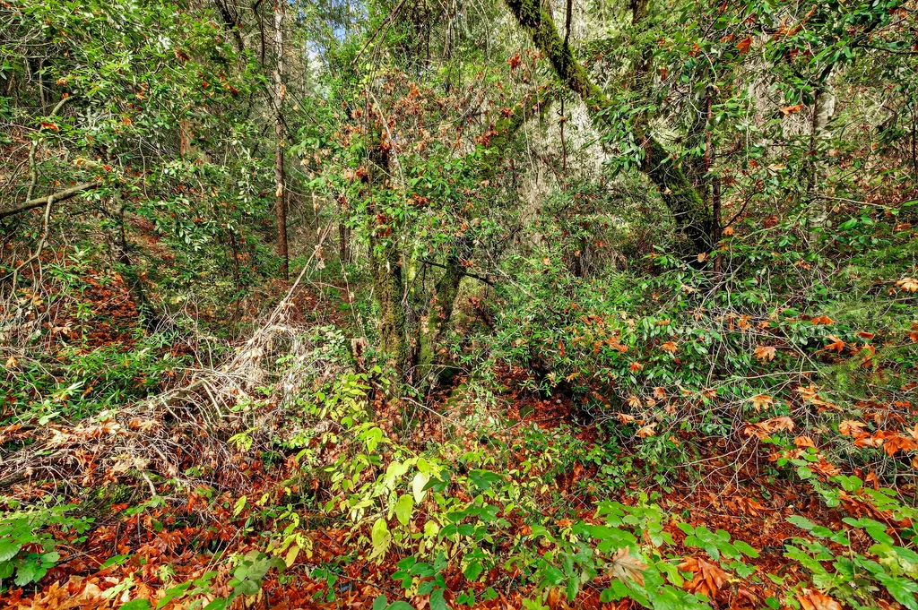 APN# 056-240-027-000 - 006 (Photos)