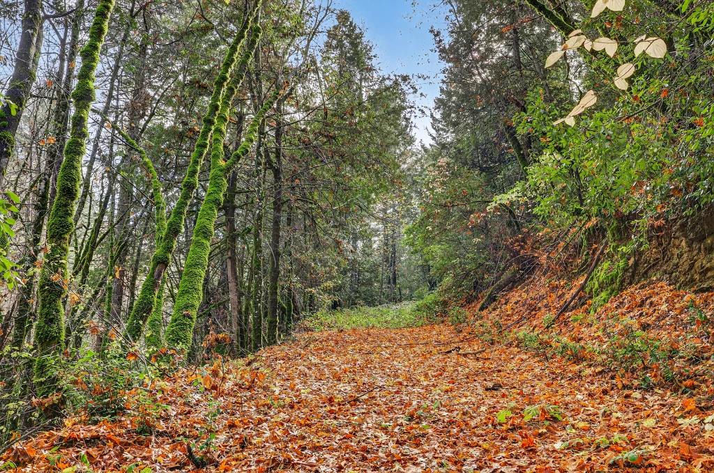 APN# 056-240-027-000 - 007 (Photos)