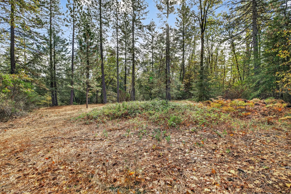 APN# 056-240-027-000 - 009 (Photos)