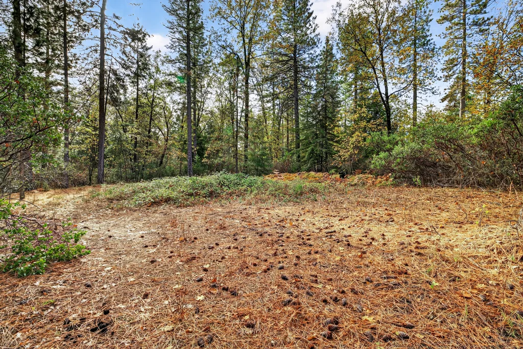 APN# 056-240-027-000 - 010 (Photos)