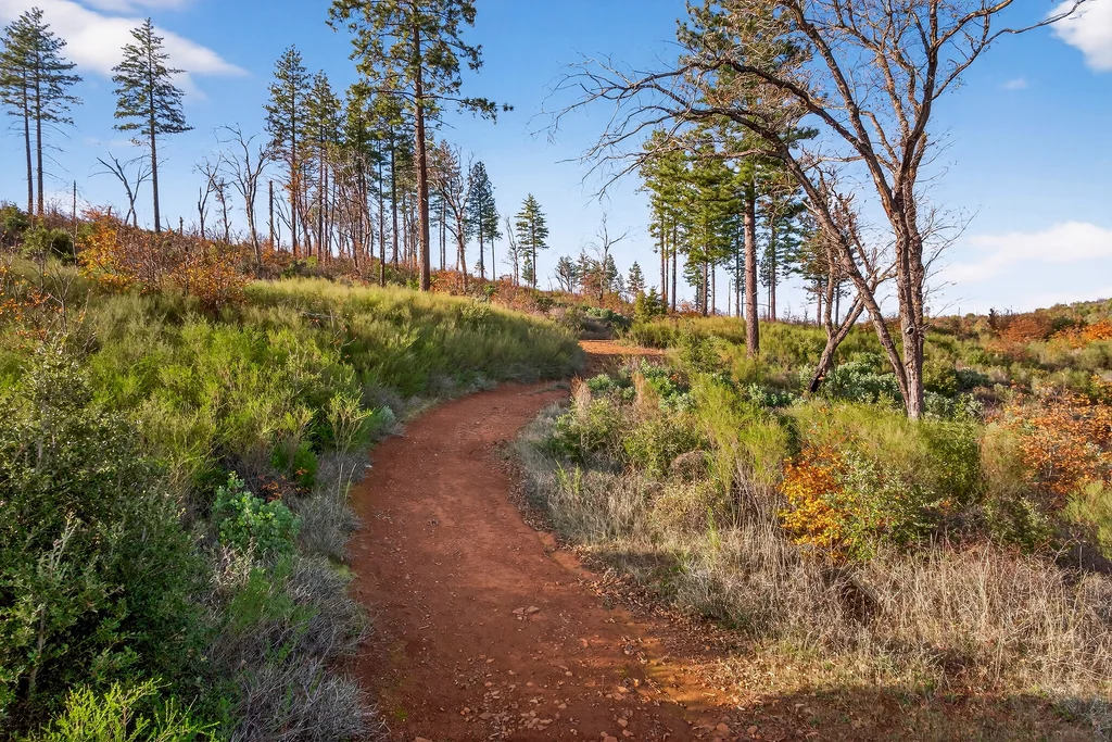 13308 Jordan Hill Rd - 002 (Photos)