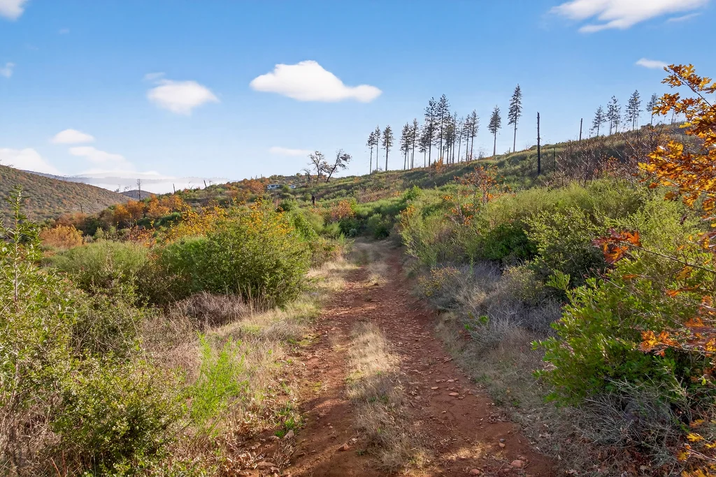 13308 Jordan Hill Rd - 003 (Photos)