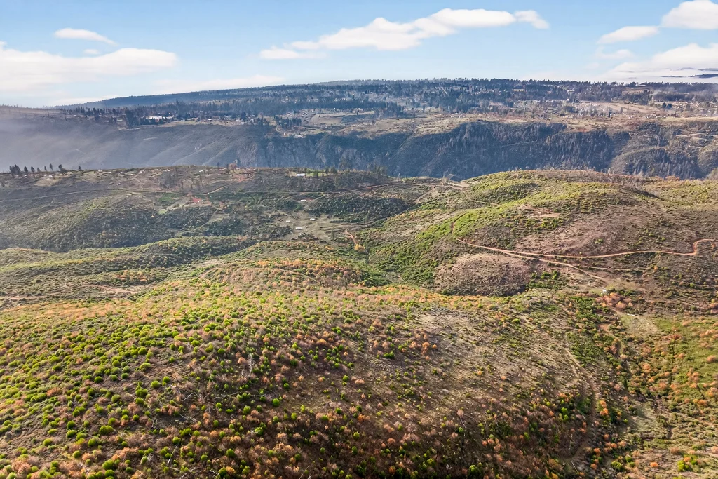 13308 Jordan Hill Rd - 003 (Photos)