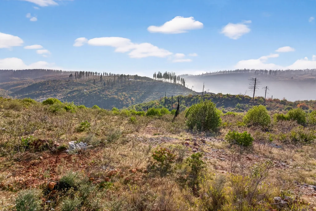 13308 Jordan Hill Rd - 007 (Photos)