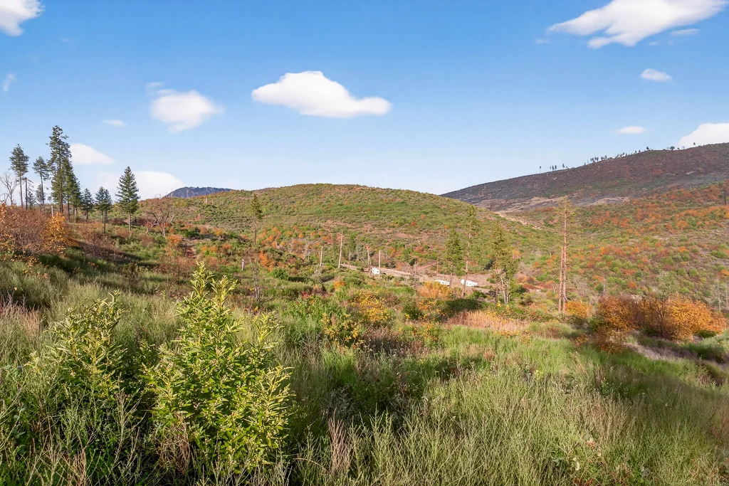 13308 Jordan Hill Rd - 009 (Photos)