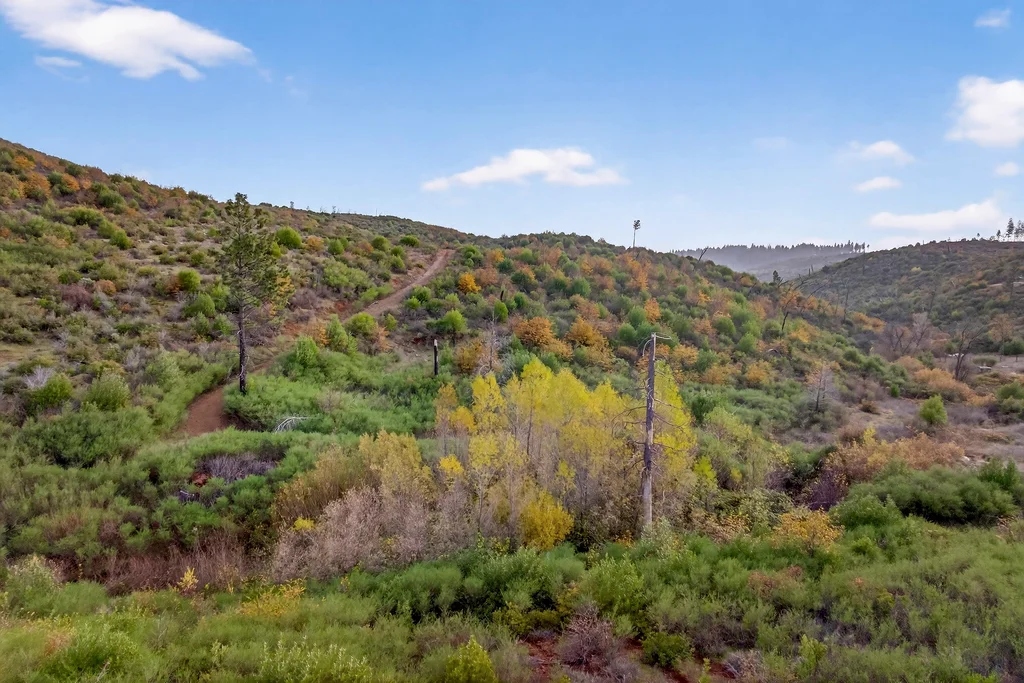 13308 Jordan Hill Rd - 010 (Photos)