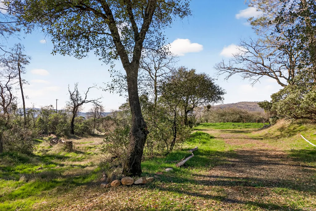 317 Sandra Ln - 001 (Photos)