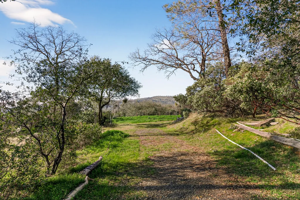 317 Sandra Ln - 002 (Photos)