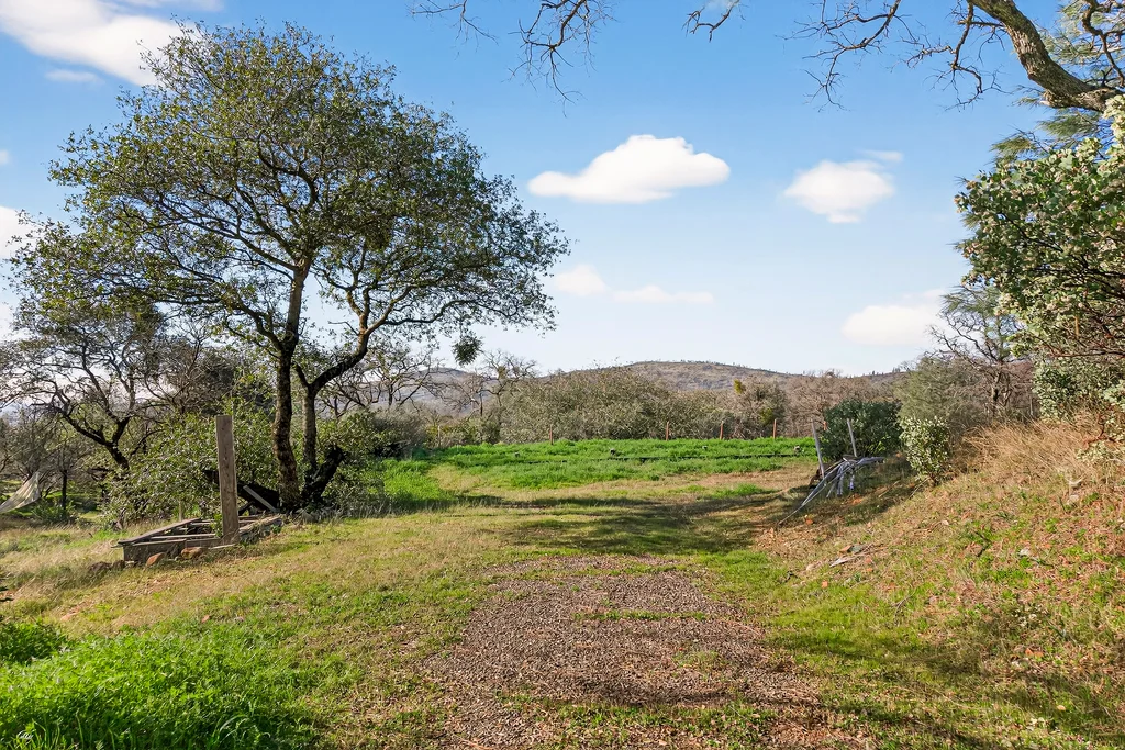 317 Sandra Ln - 003 (Photos)