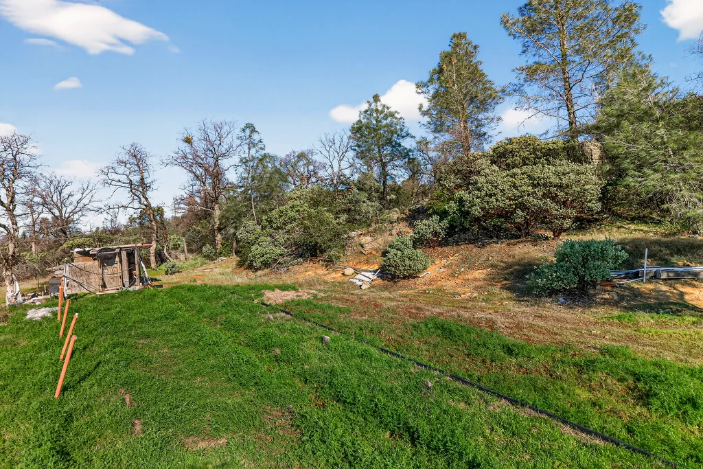 317 Sandra Ln - 004 (Photos)