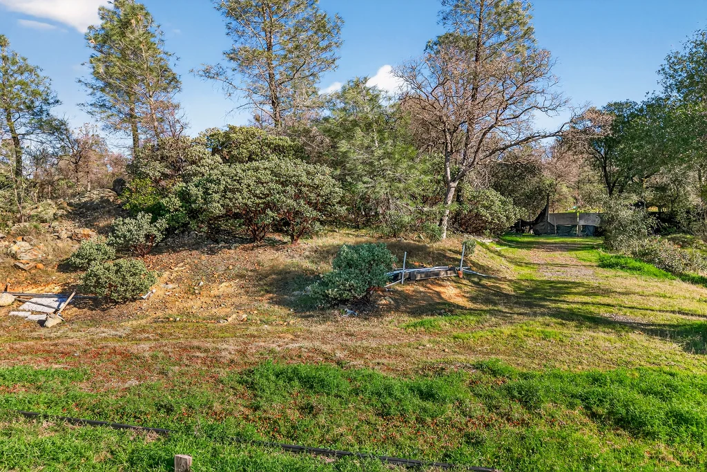 317 Sandra Ln - 005 (Photos)